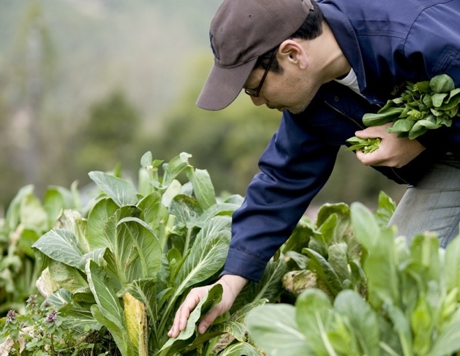 グランメゾン元給仕長が作る
富士山麓の有機野菜を求めて。
＜後編＞