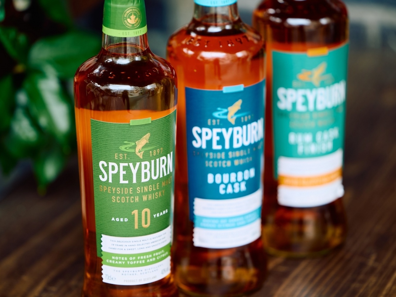 新しいラベルデザインはいきいきとしたカラーリングに。アイキャッチーなサーモンが目印。