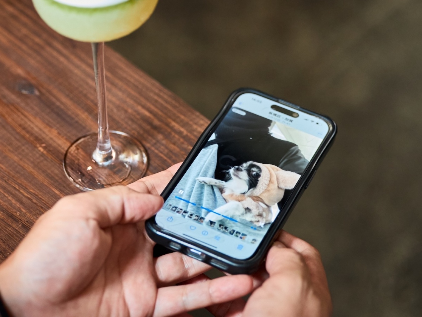 自身のウォーキングの前には愛犬”ウルトラマン”との散歩が日課。「1日何キロ歩いているんだって話ですよね(笑)」。