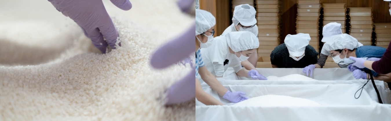 麹づくり/ 画像提供:独立行政法人 酒類総合研究所