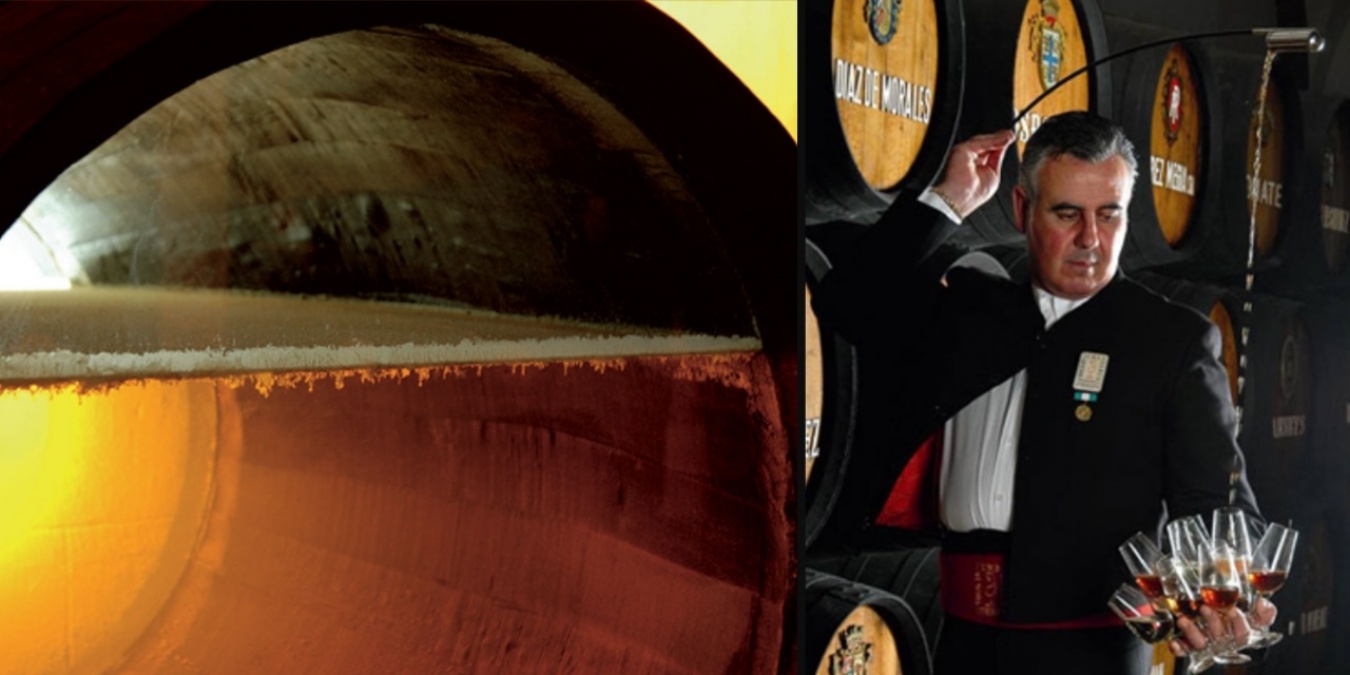 (左)熟成中のワイン表面に生育する産膜酵母(フロール)(右)ベネンシアドール