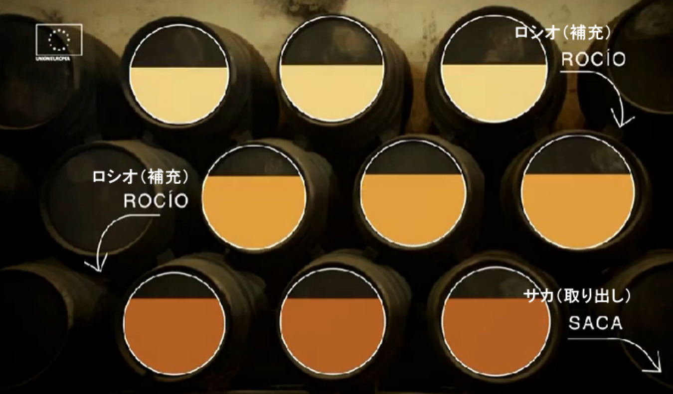 ソレラの仕組み