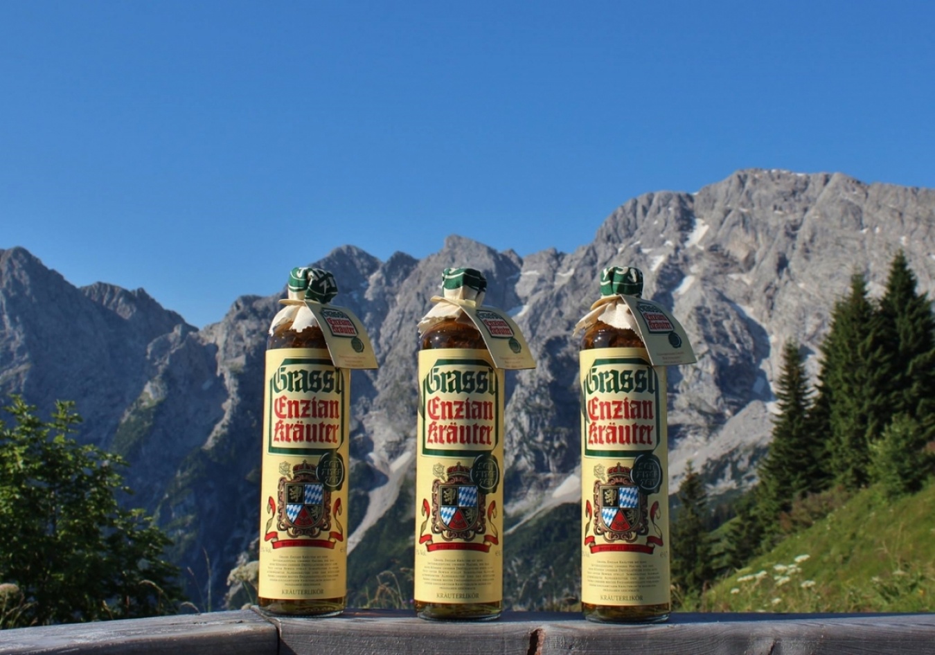 冒頭写真:アルプスに自生する黄花ゲンチアナ。© Enzianbrennerei Grassl 上:アルプスの恵みが詰まった、グラッスル蒸留所の「エンツィアン・ハーブリキュール」。© Enzianbrennerei Grassl