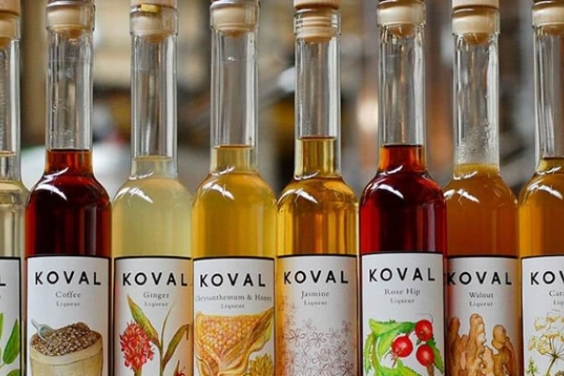 あのシカゴ生まれのKOVALから
リキュール8種類がリリース！

