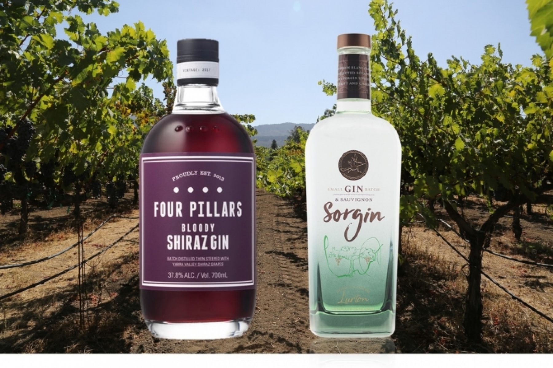 スピリッツとワインで最強のコンビ？
新たな顔が続々と
