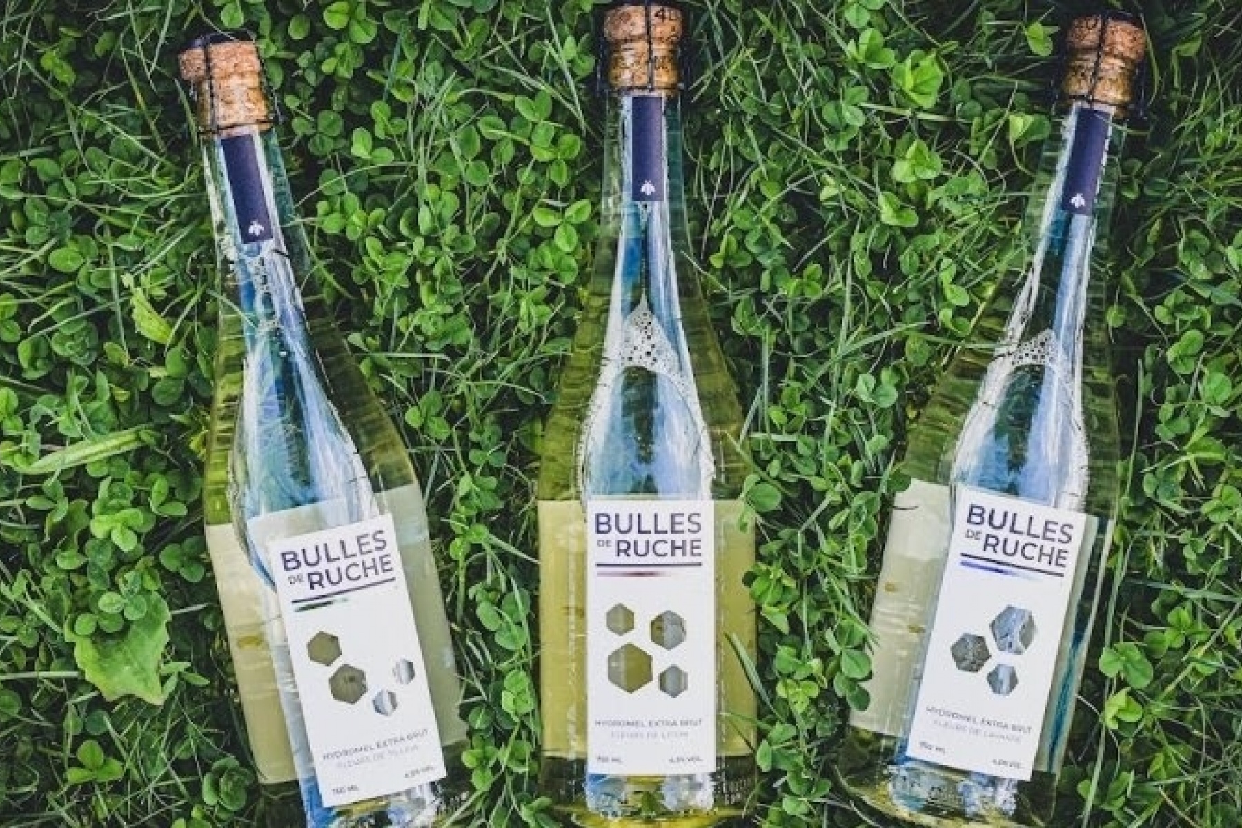 「モダンミード」日本初上陸！
ハチミツと水だけでつくる新ナチュラル蜂蜜酒