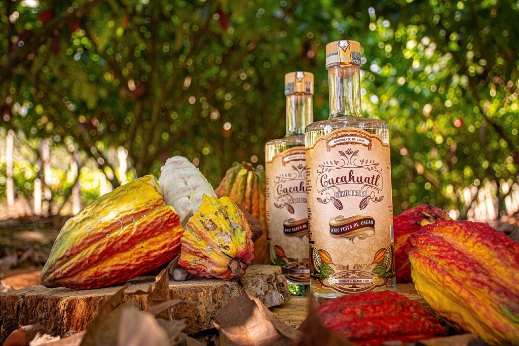 カカオ100%の蒸留酒「カカワトル」
日本のインポーター様を大募集！
