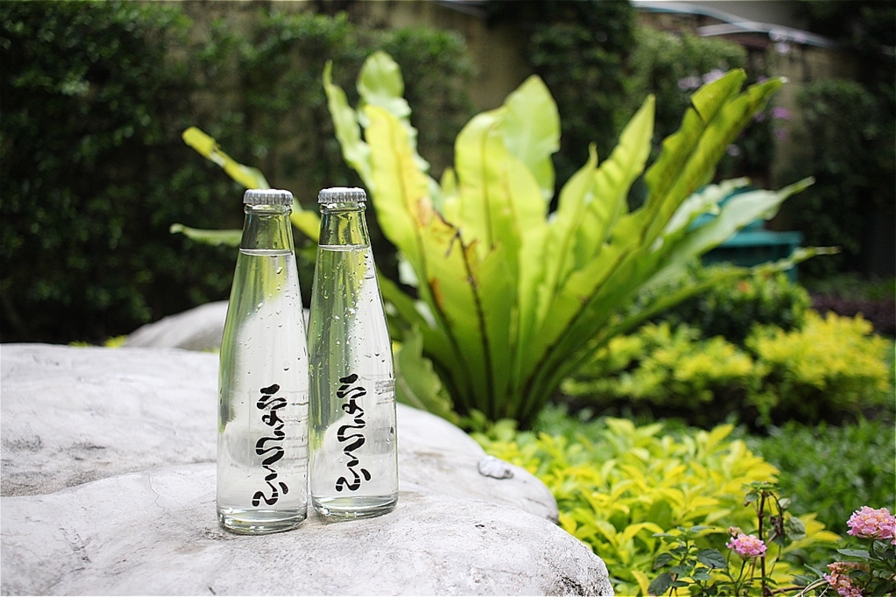 北九州発ドリンクカンパニー「ならふ」
初ドリンクをリリース！
