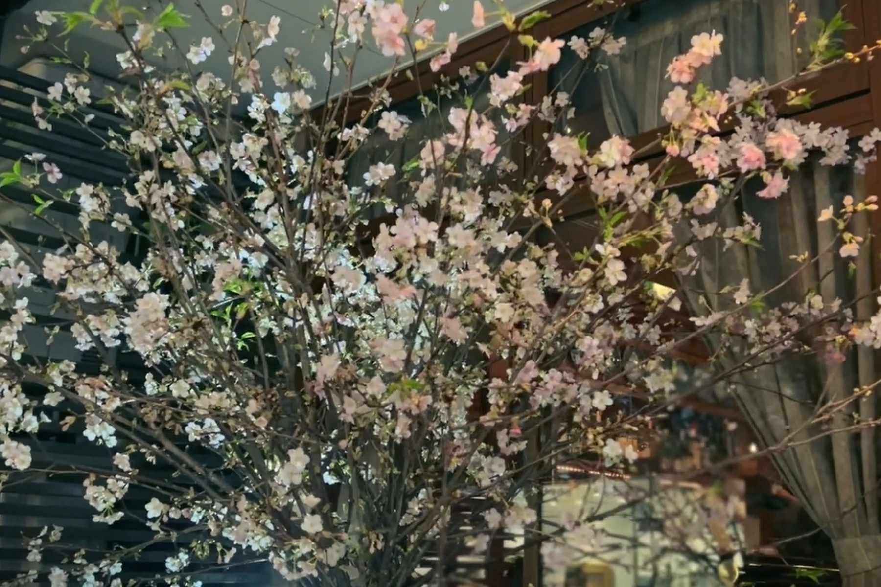 数寄屋橋サンボア｜100年続く噂のハイボール
Bar Trip to Amazing Japan Cocktails