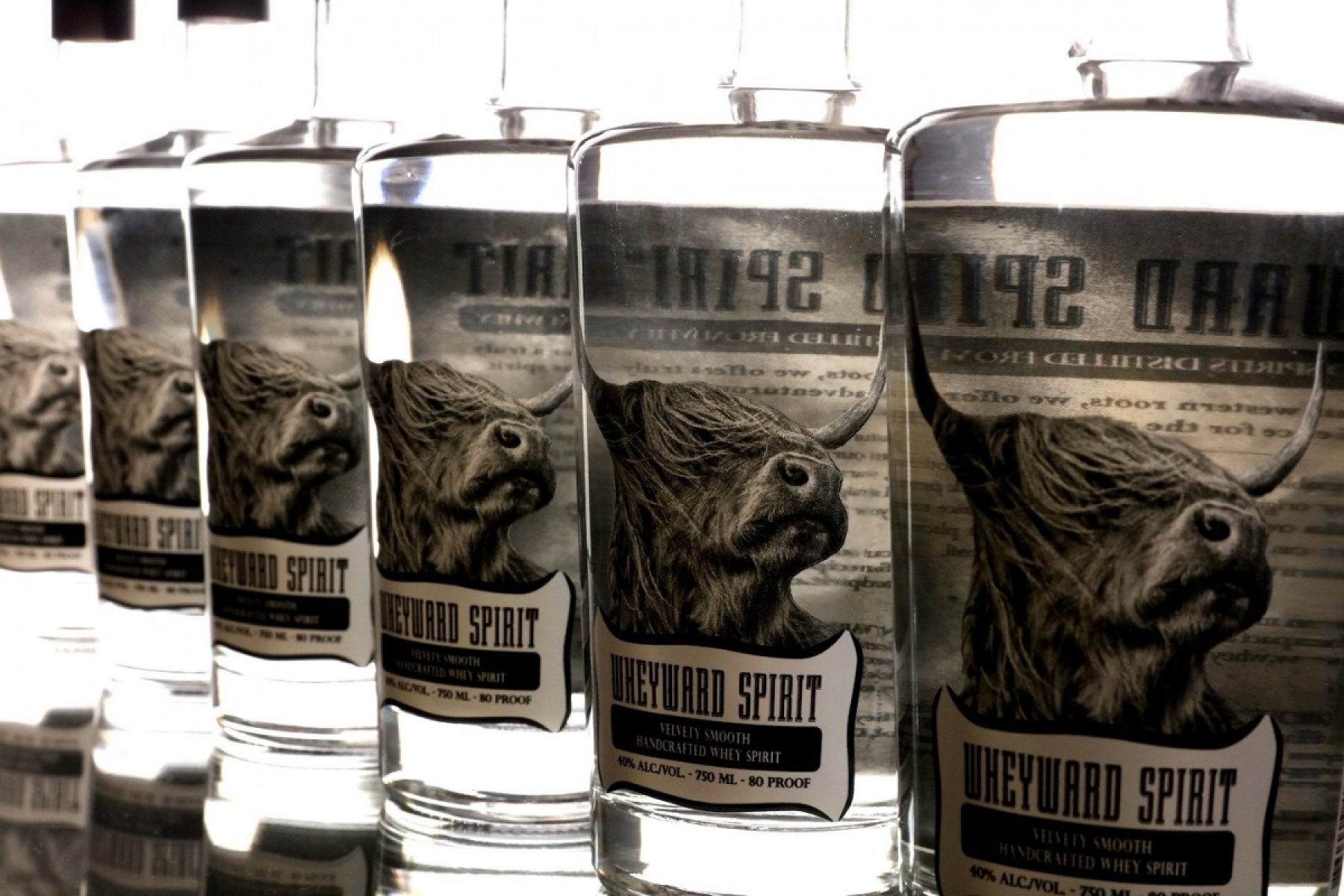 チーズの副産物“スイートホエイ”から作る
サステナブルな「Wheyward Spirit」！
