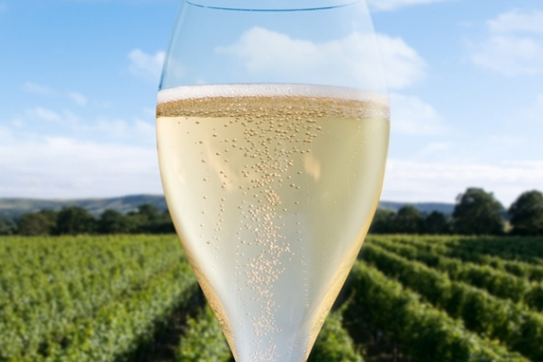 本場シャンパーニュをしのぐ！？
英国産スパークリングの実力。