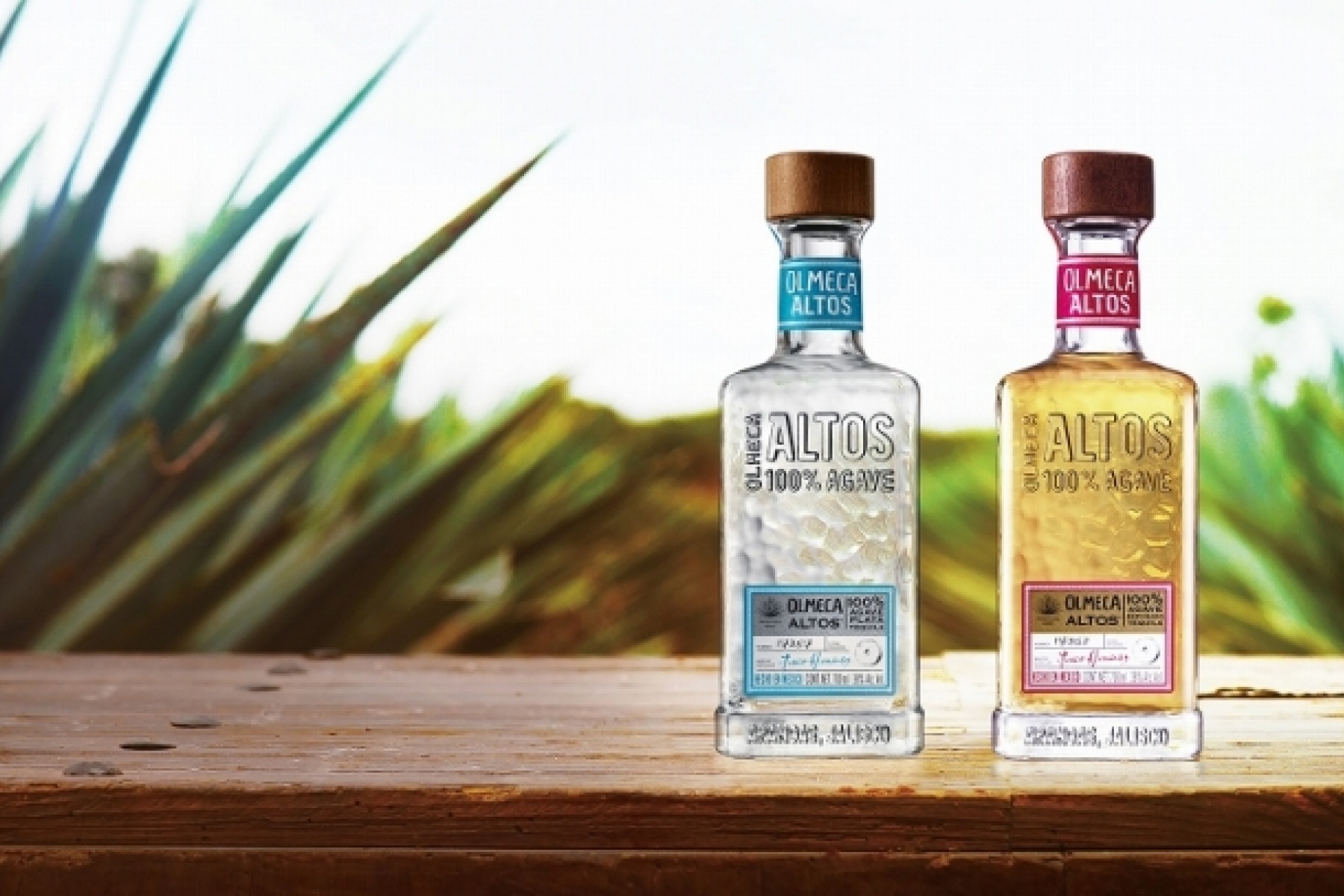 あのバーテンダーが開発したテキーラ
「オルメカ アルトス」新発売！
