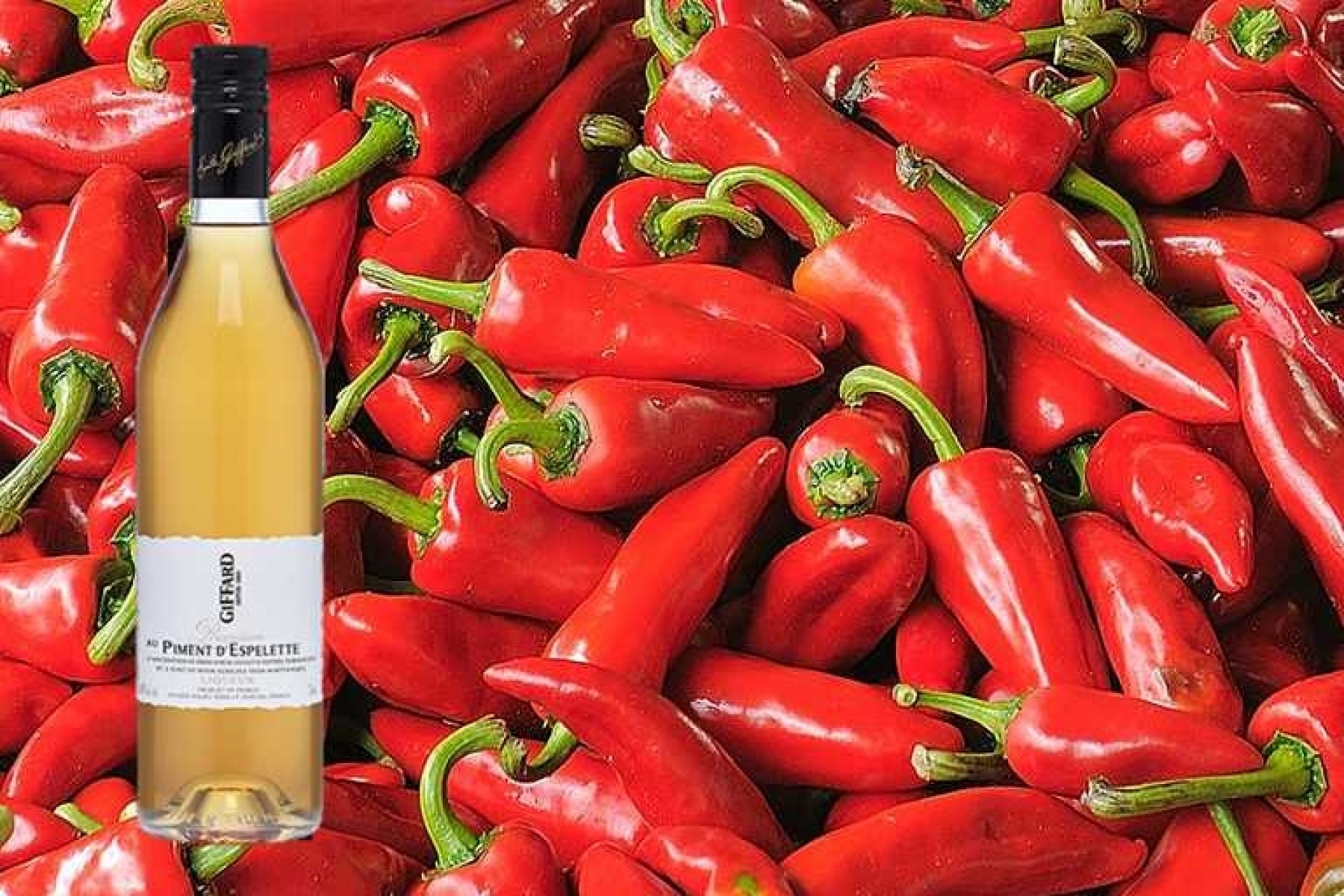 バーテンダーのクリエーションに貢献！
バスク地方のトウガラシがリキュールに。