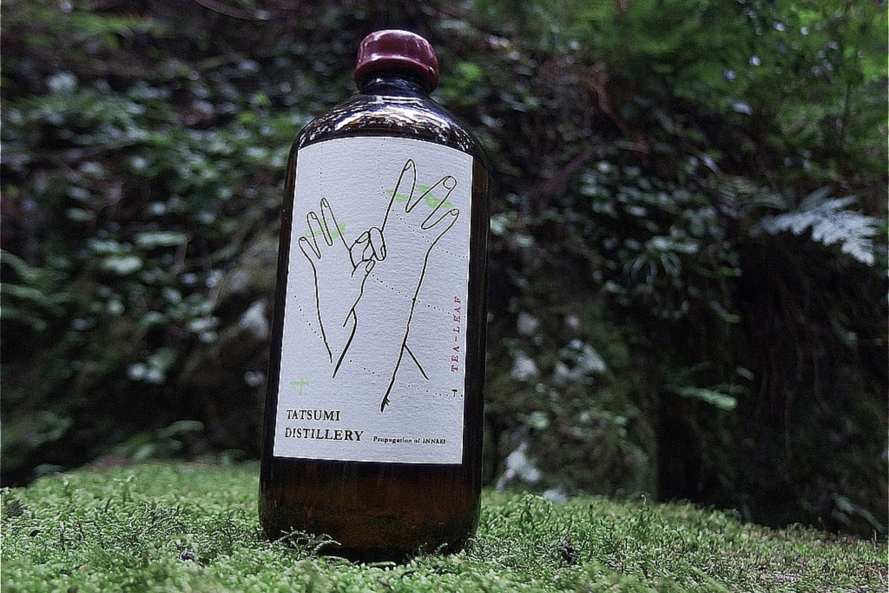 日本初！ 日本茶の生葉を使ったジン
「First Essence Tea Leaf Gin」登場

