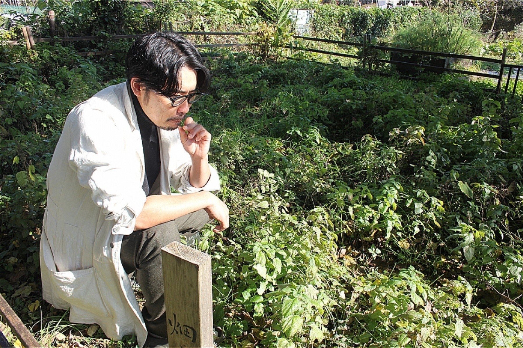 アマーロは農作物！？
日本初のアマーロ「SCARLET」の現場へ。
