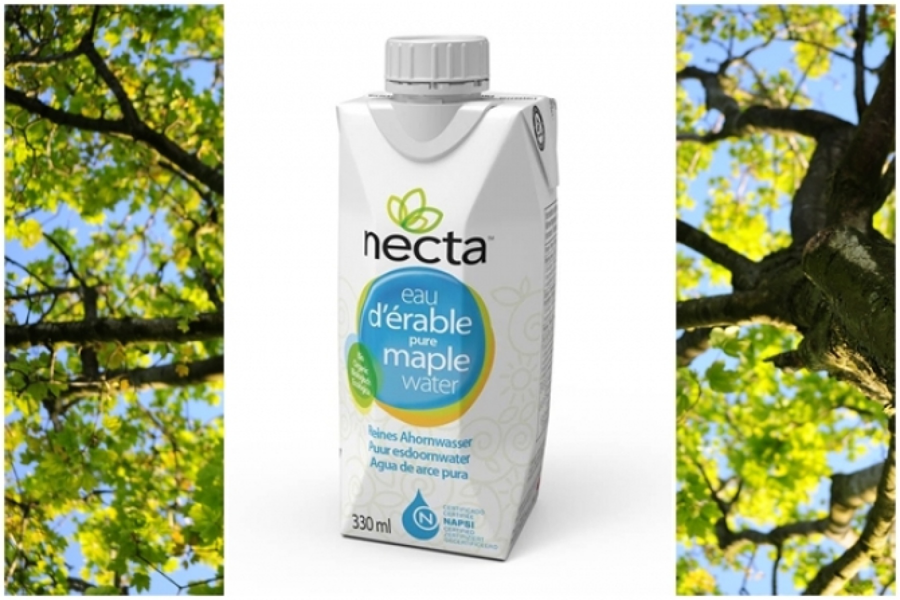 年に一度しか採取できない
メープルウォーター「ネクタ」！
