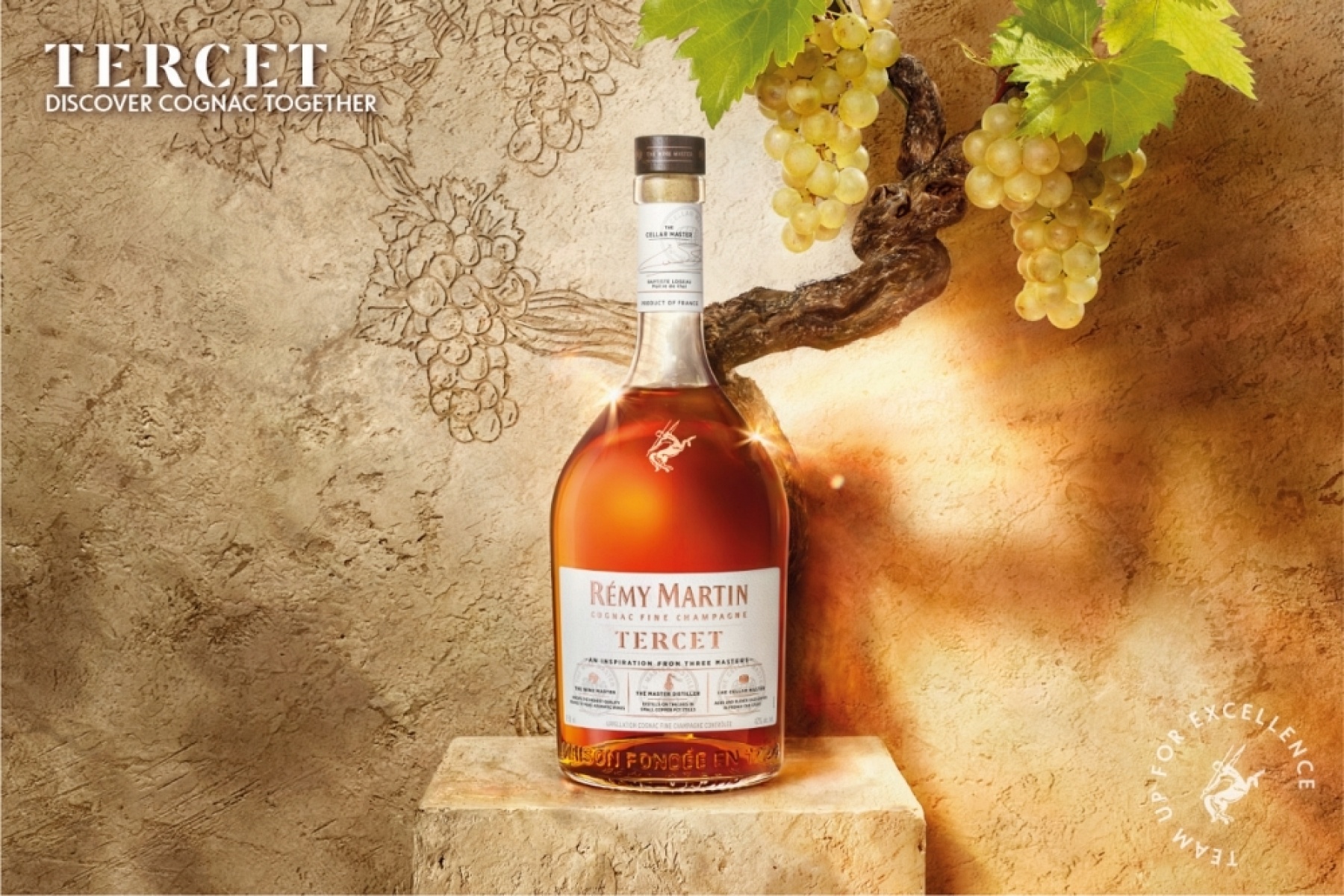 レミーマルタン X ミシュラングリーンスター
『レミーマルタン テルセ』と叶えるサステナブルな美食