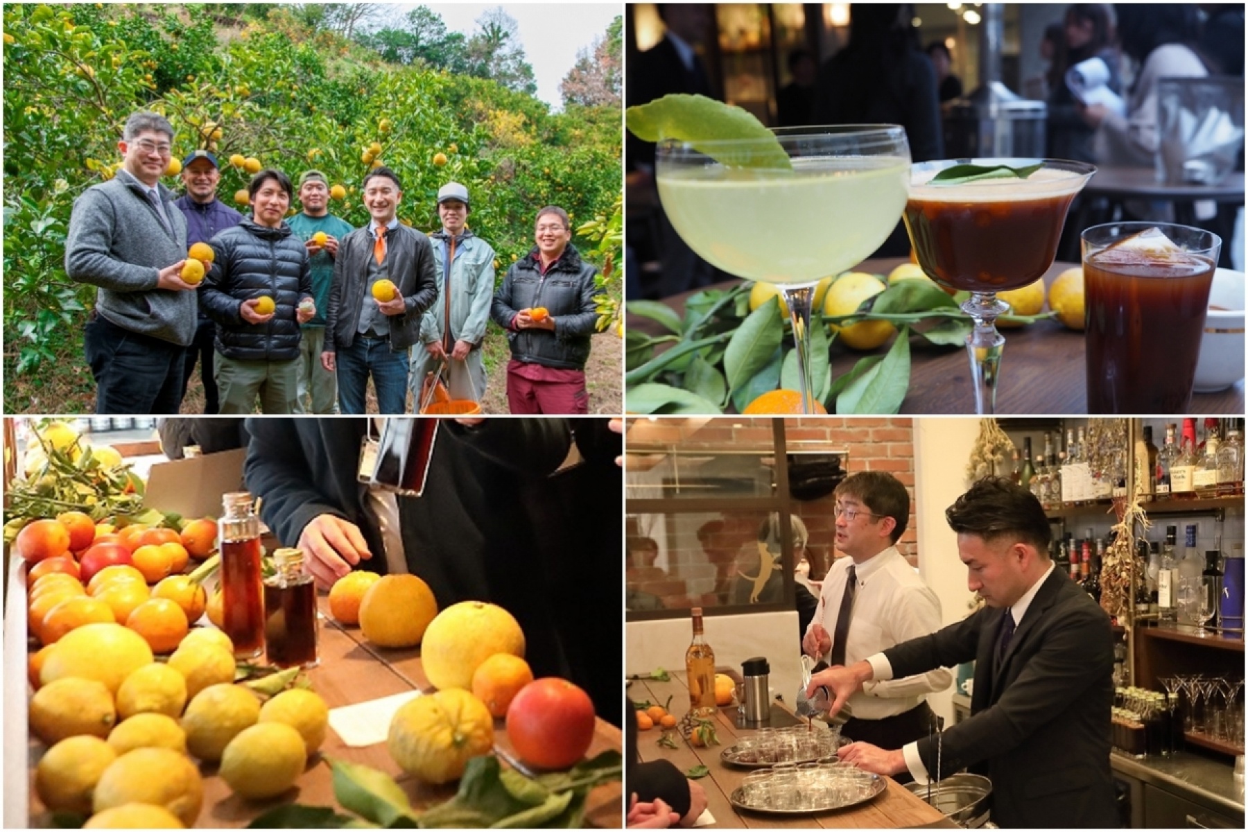 「愛媛柑橘応援プロジェクト」
カクテル試飲会・商談会レポ！

