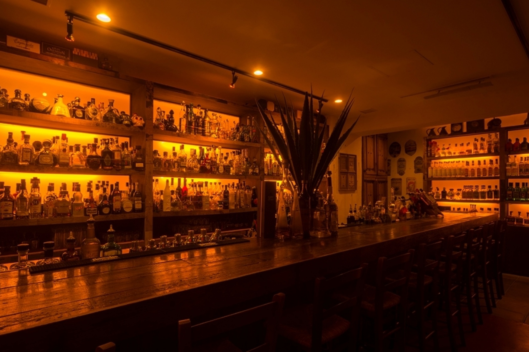 ＜キャリア＞
世界的にも知られる最大級のアガべスピリッツバー
「AGAVE」でバーテンダー募集！
