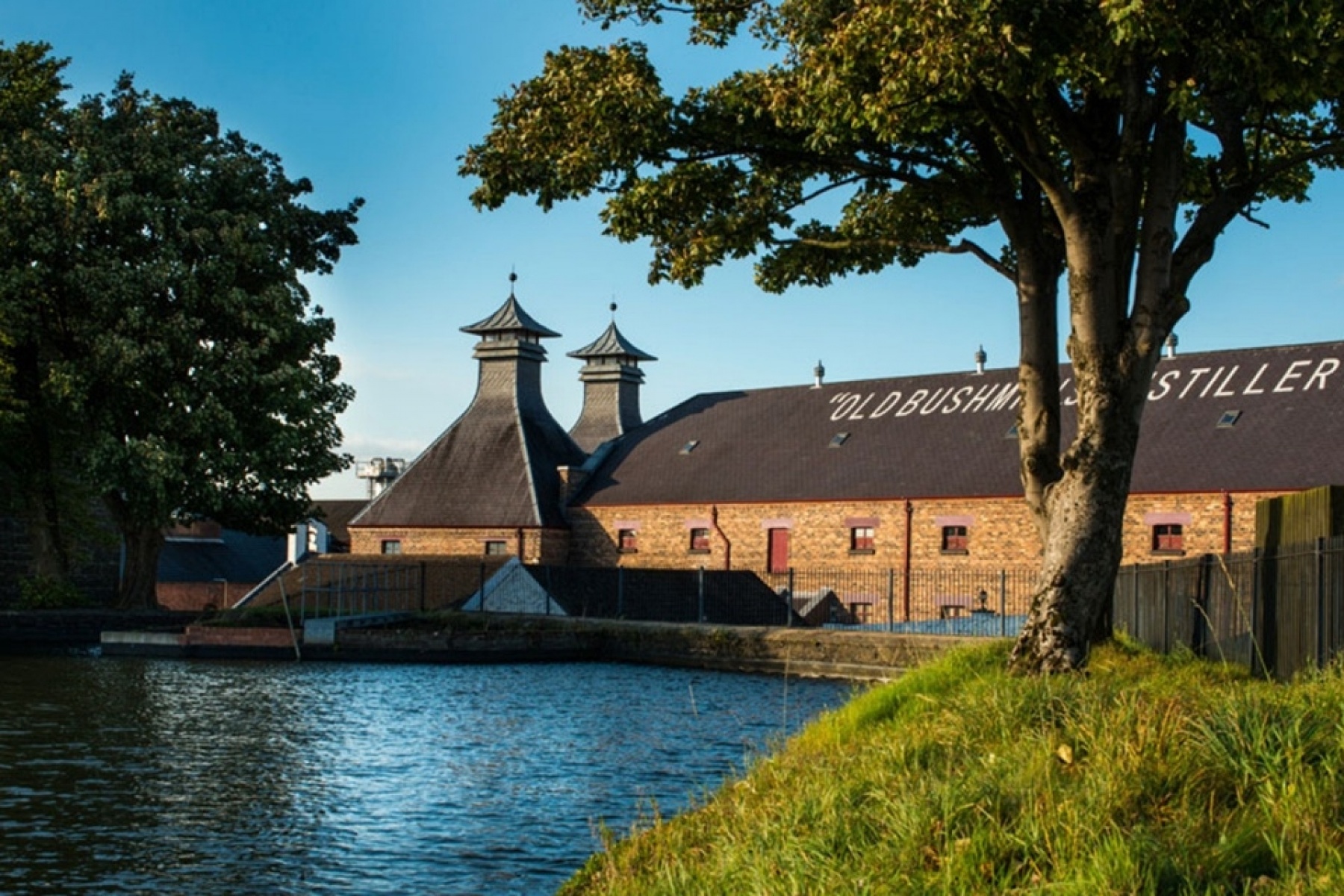 アイリッシュ400年の歴史を誇るブッシュミルズ
日本でのブランドアンバサダー募集！