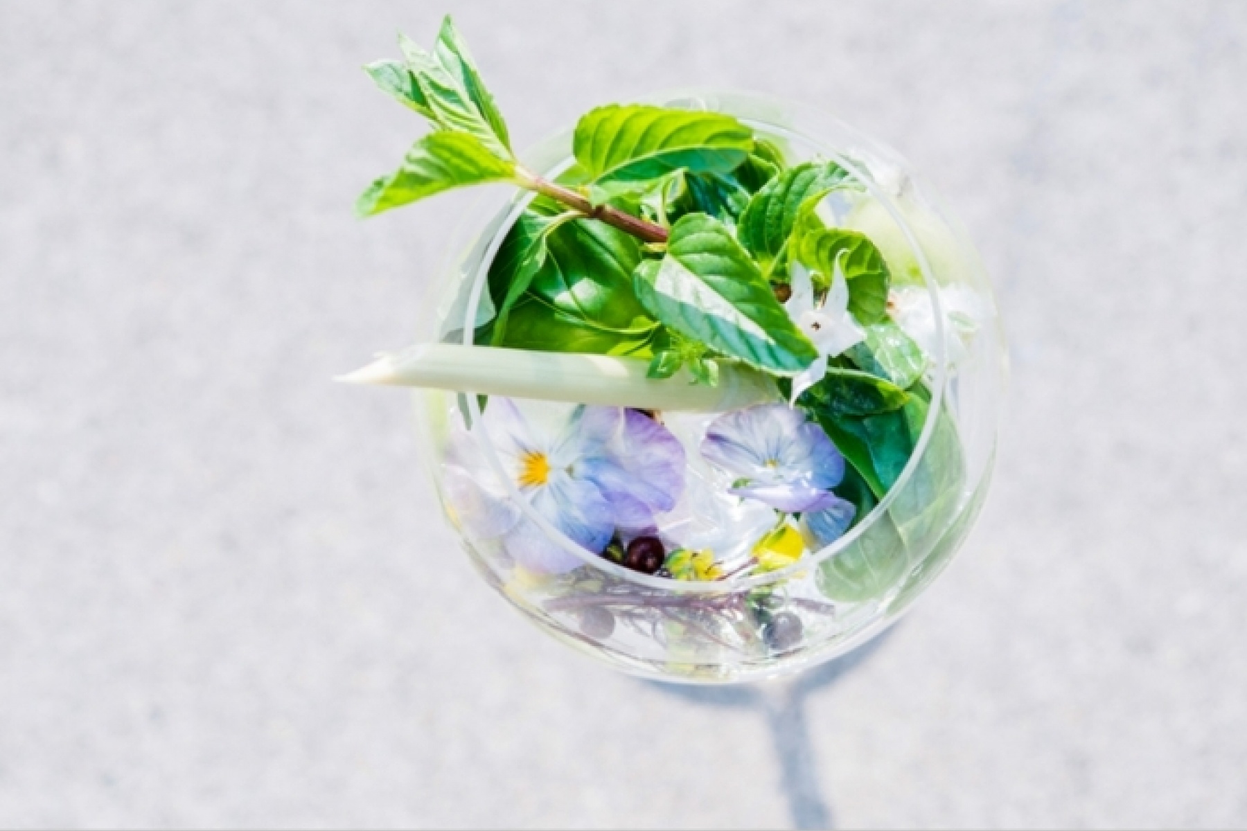 日本初？のモクテルコンペティション
締切は2017年4月30 日（日）！
