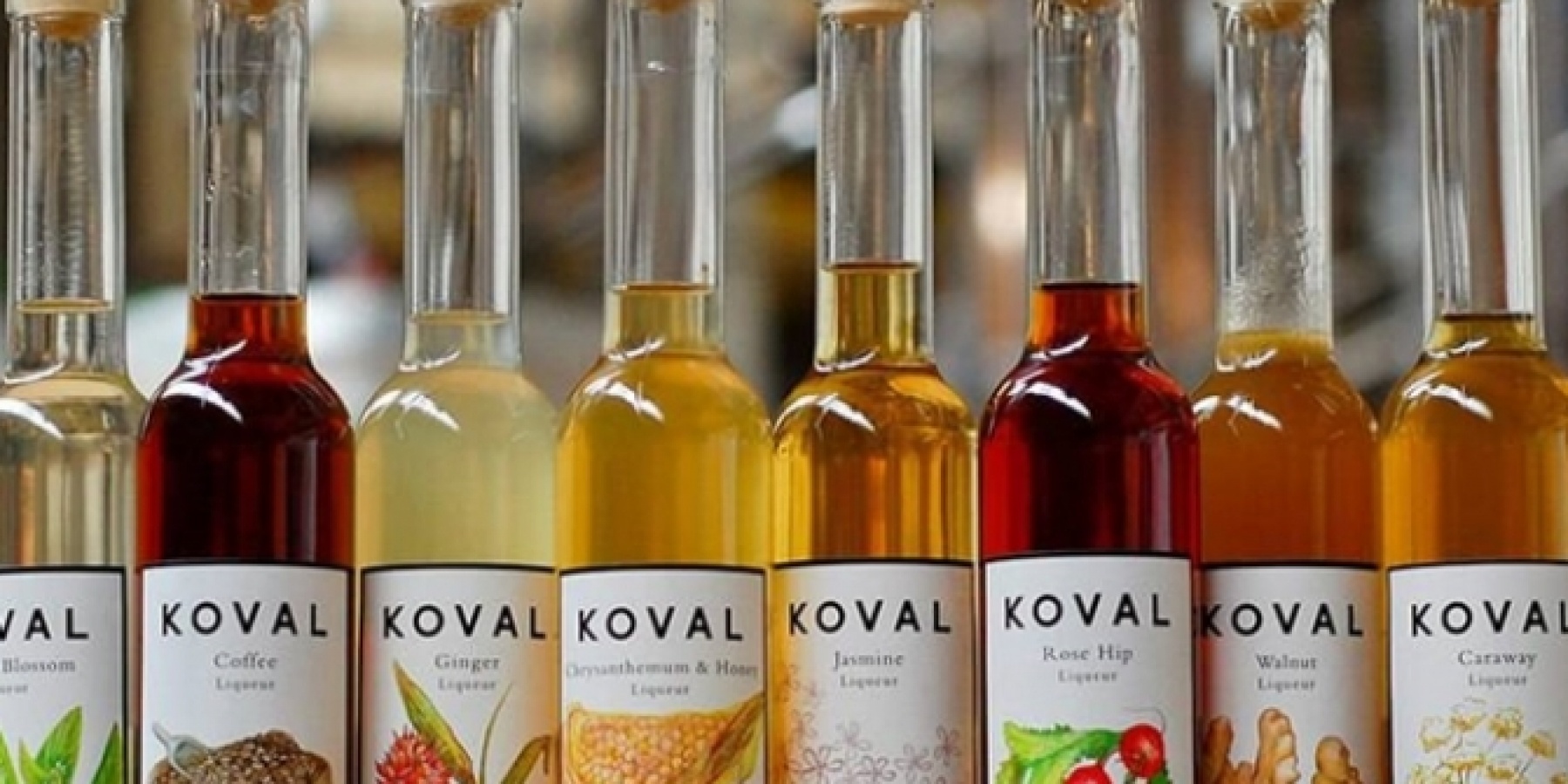 あのシカゴ生まれのKOVALから
リキュール8種類がリリース！
