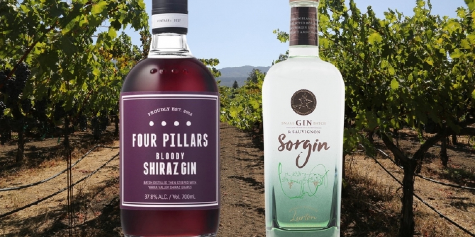 スピリッツとワインで最強のコンビ？
新たな顔が続々と
