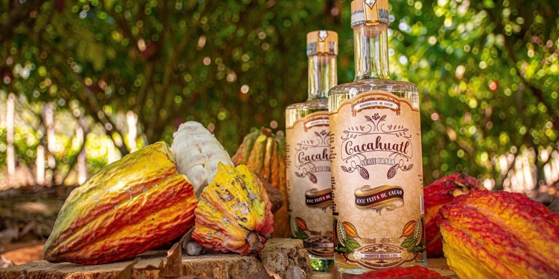 カカオ100%の蒸留酒「カカワトル」
日本のインポーター様を大募集！
