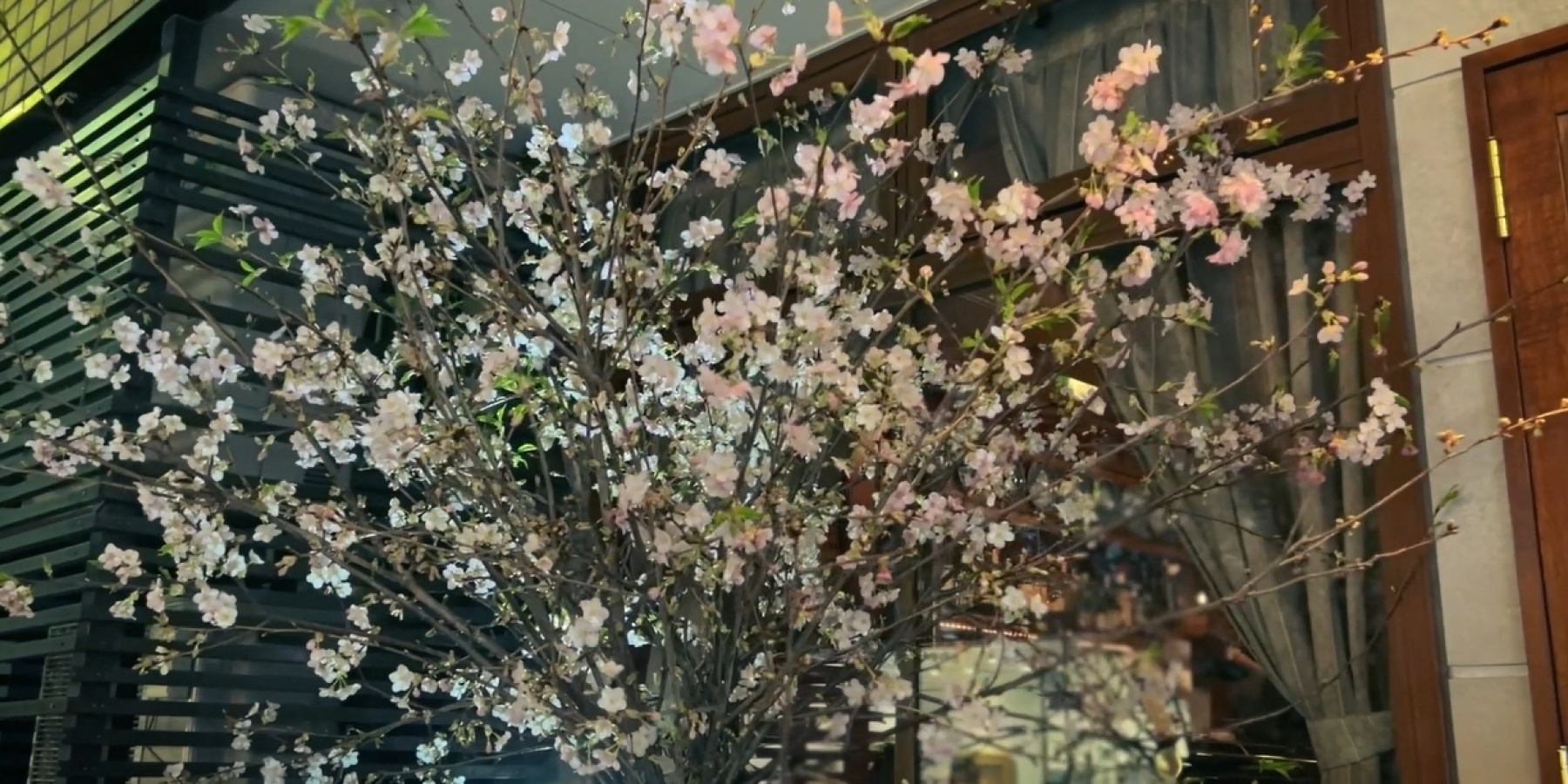 数寄屋橋サンボア｜100年続く噂のハイボール
Bar Trip to Amazing Japan Cocktails