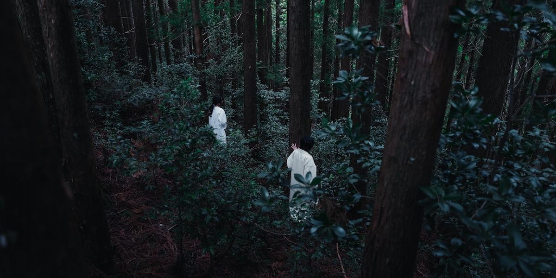 「クラフトコーラの仕掛け人がリリース、
日本の間伐材を使った純国産ジン誕生。
＜後編＞