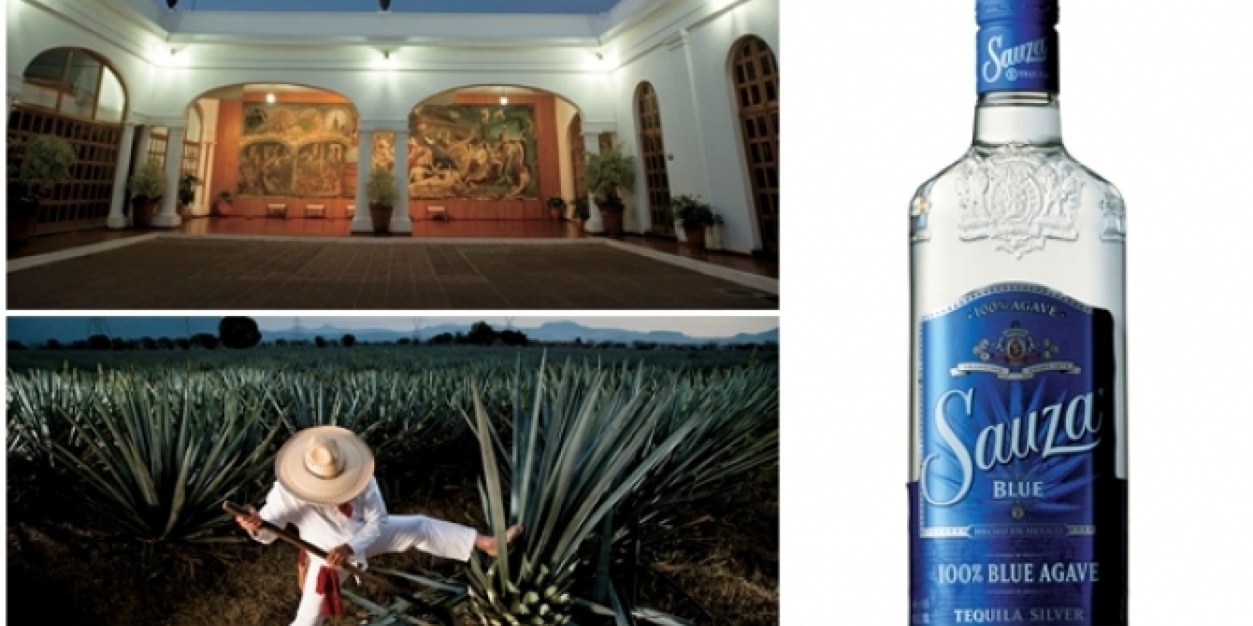 サウザブルー、日本上陸、
セミナーの模様をレポート！
