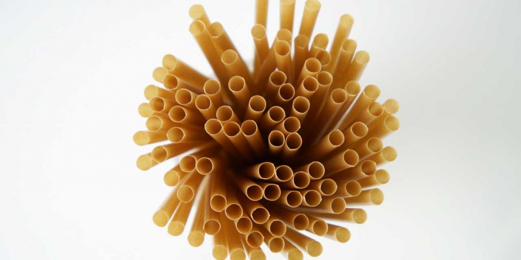 どりぷら会員３名さまにプレゼント。
サトウキビ由来の100％天然成分ストロー！