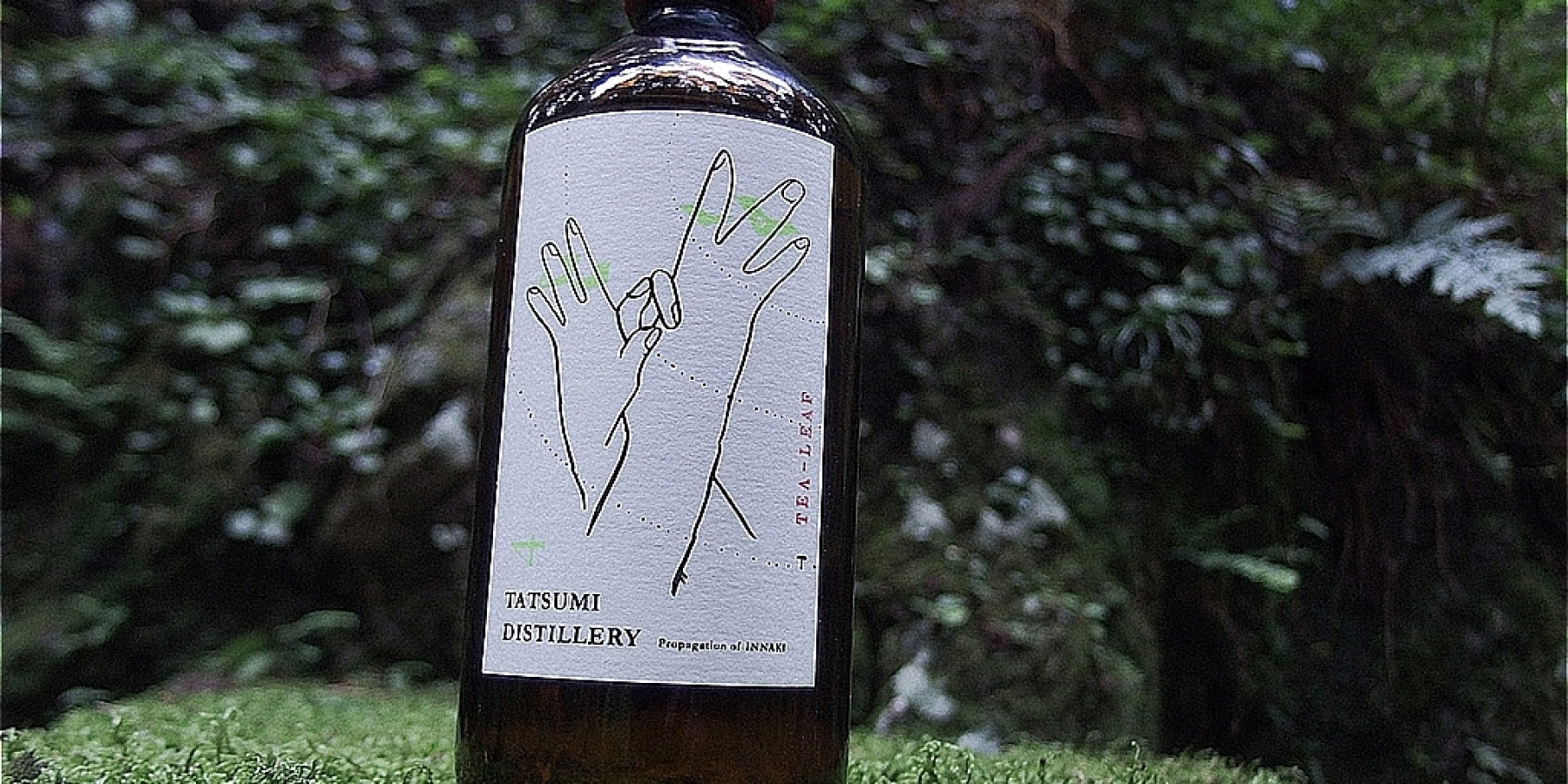 日本初！ 日本茶の生葉を使ったジン
「First Essence Tea Leaf Gin」登場
