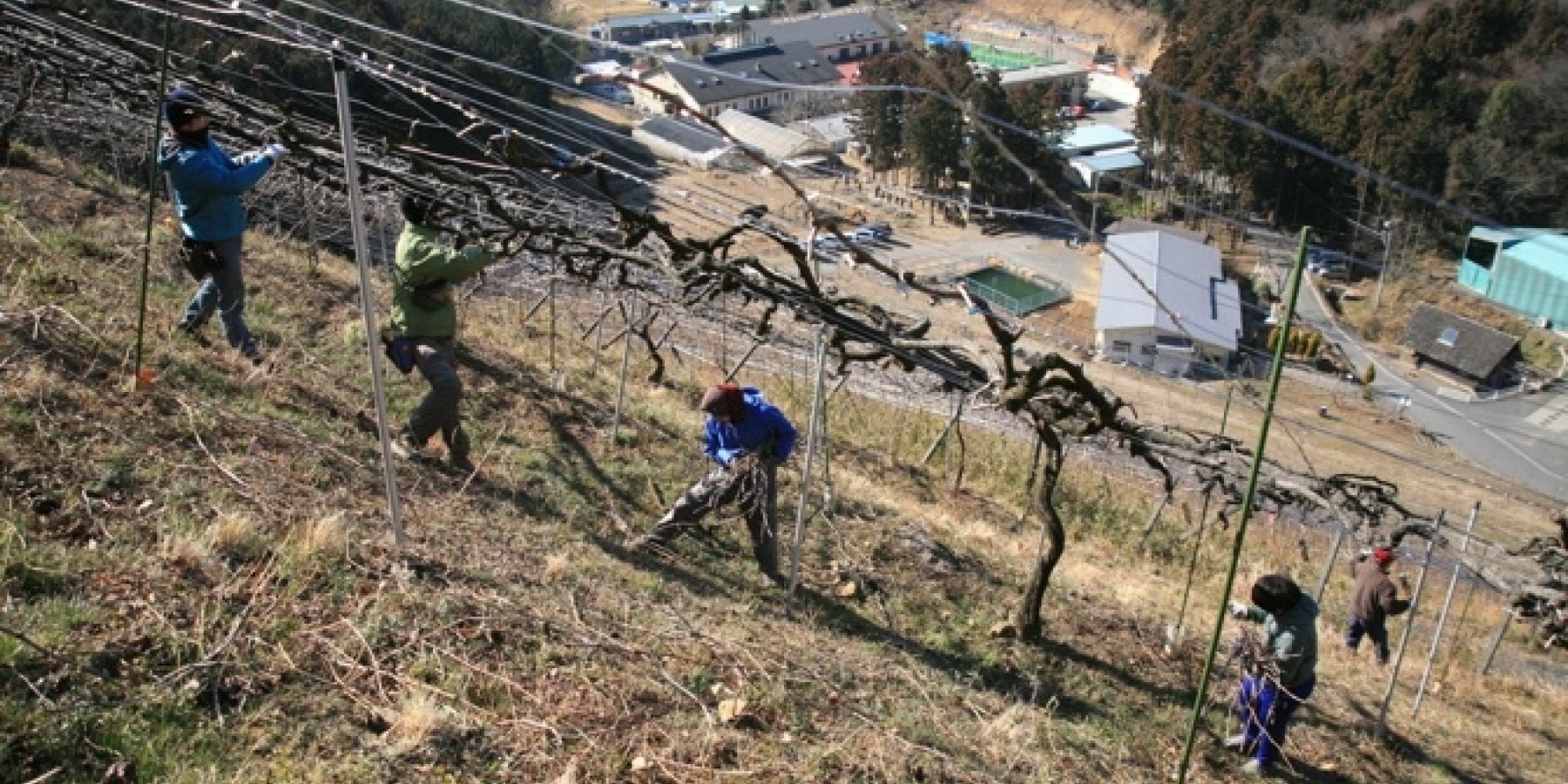 隠し味は個性的な「人」！
ココ・ファームのおいしい秘密。
＜後編＞