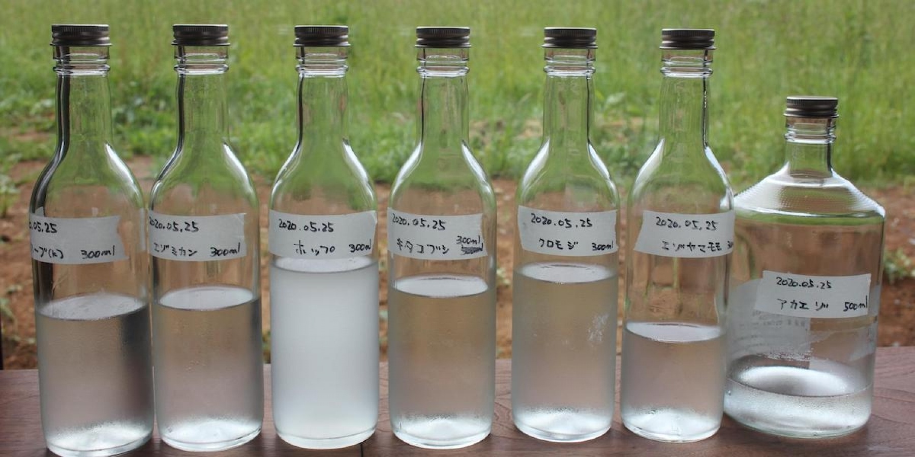 北海道のボタニカル満載、
積丹発のクラフトジンが遂にリリース！
＜後編＞