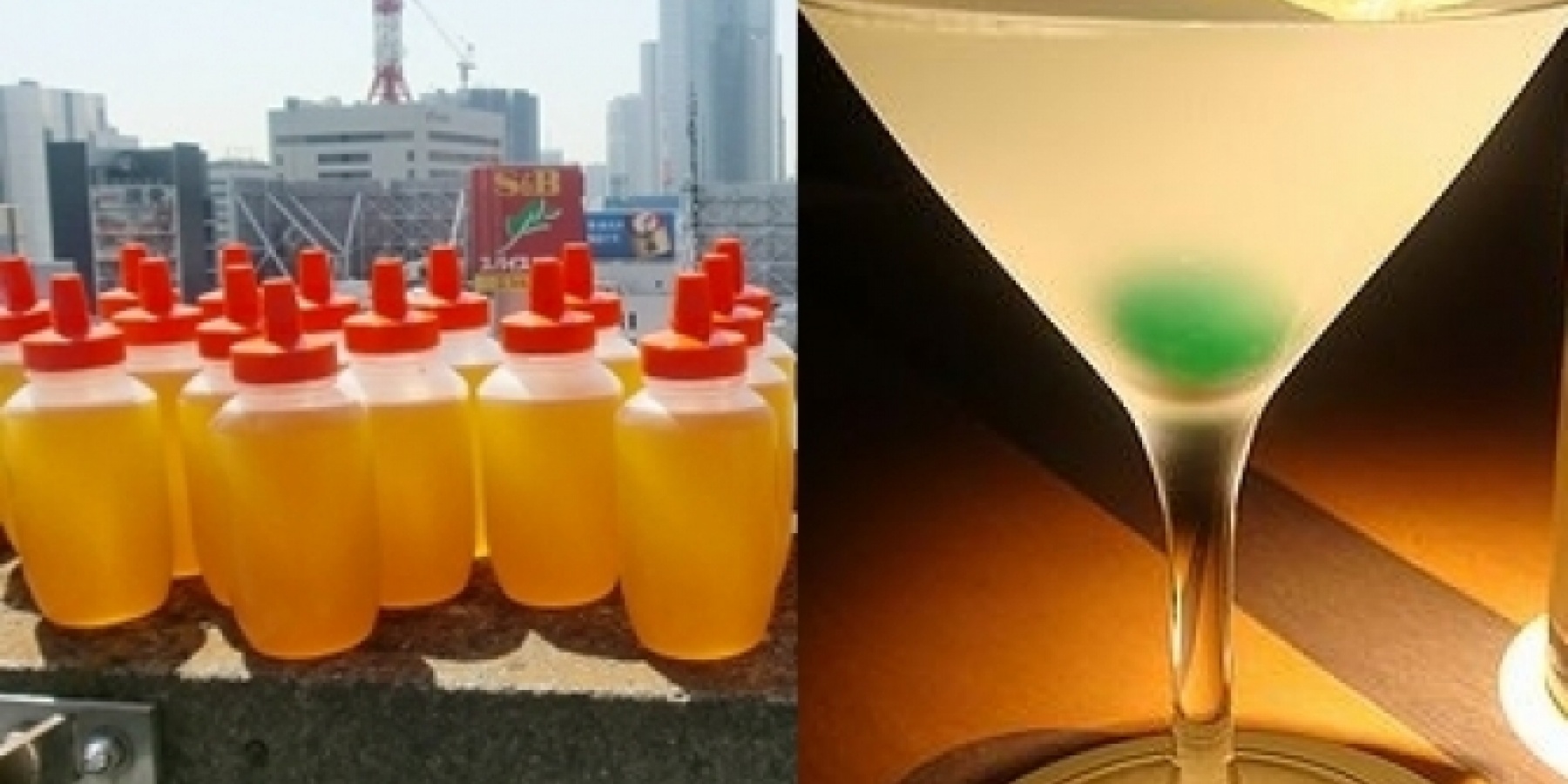 日本全国ハニーカクテル大旋風！
「銀ぱちプロジェクト」って！？