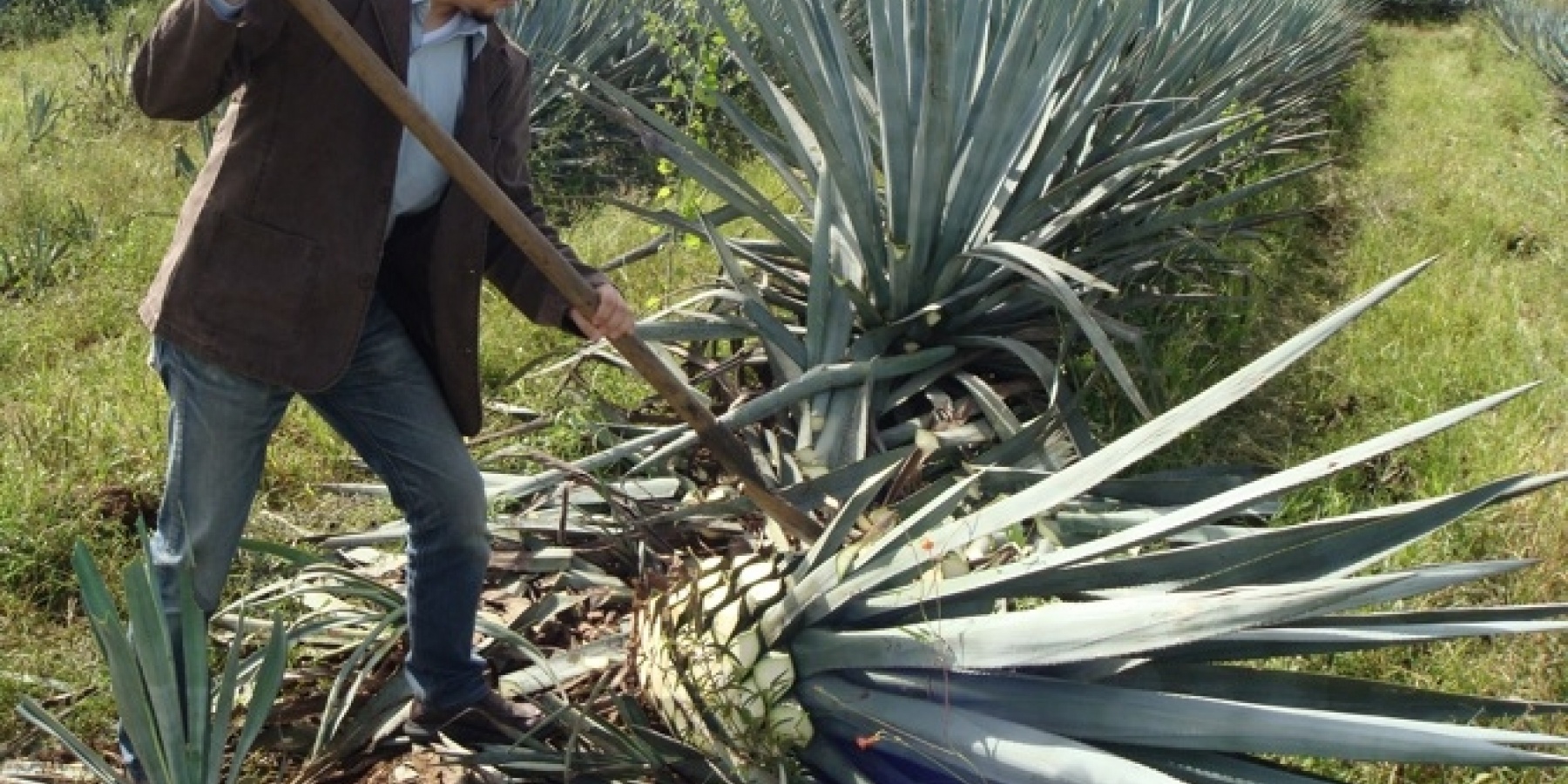 ザッツ・エンターテイメント！
楽しいテキーラのススメ。
＜後編＞