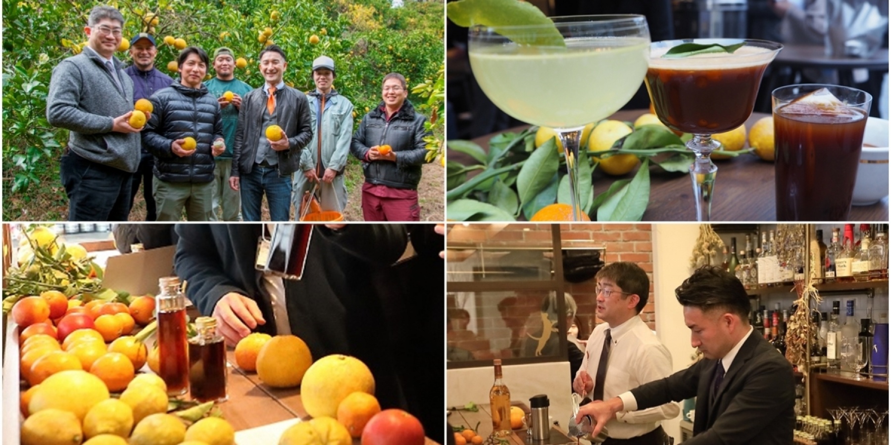 「愛媛柑橘応援プロジェクト」
カクテル試飲会・商談会レポ！
