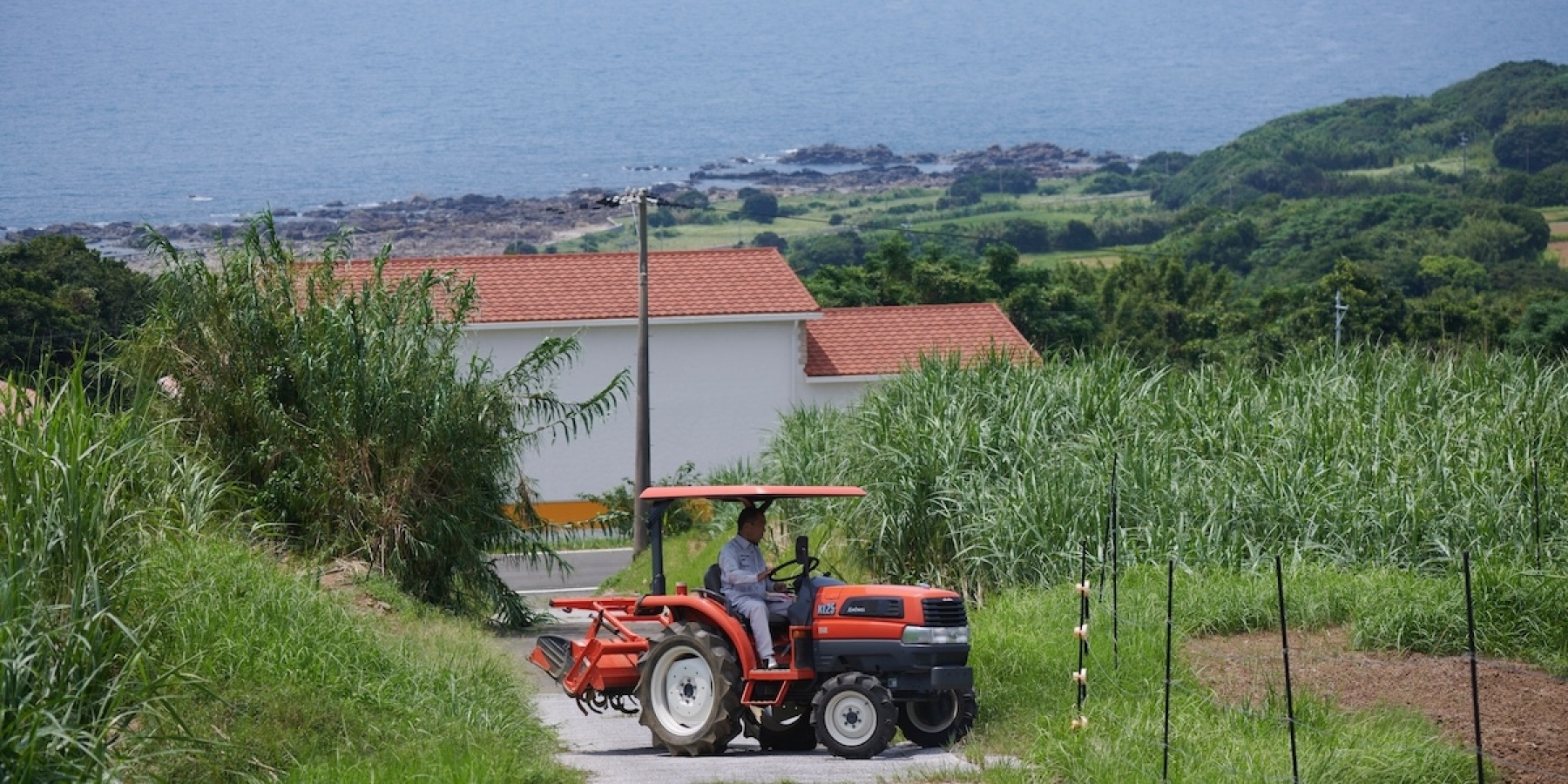 種子島から世界へ！
アグリコールラム「ARCABUZ」が目指すもの。
- 後編 -