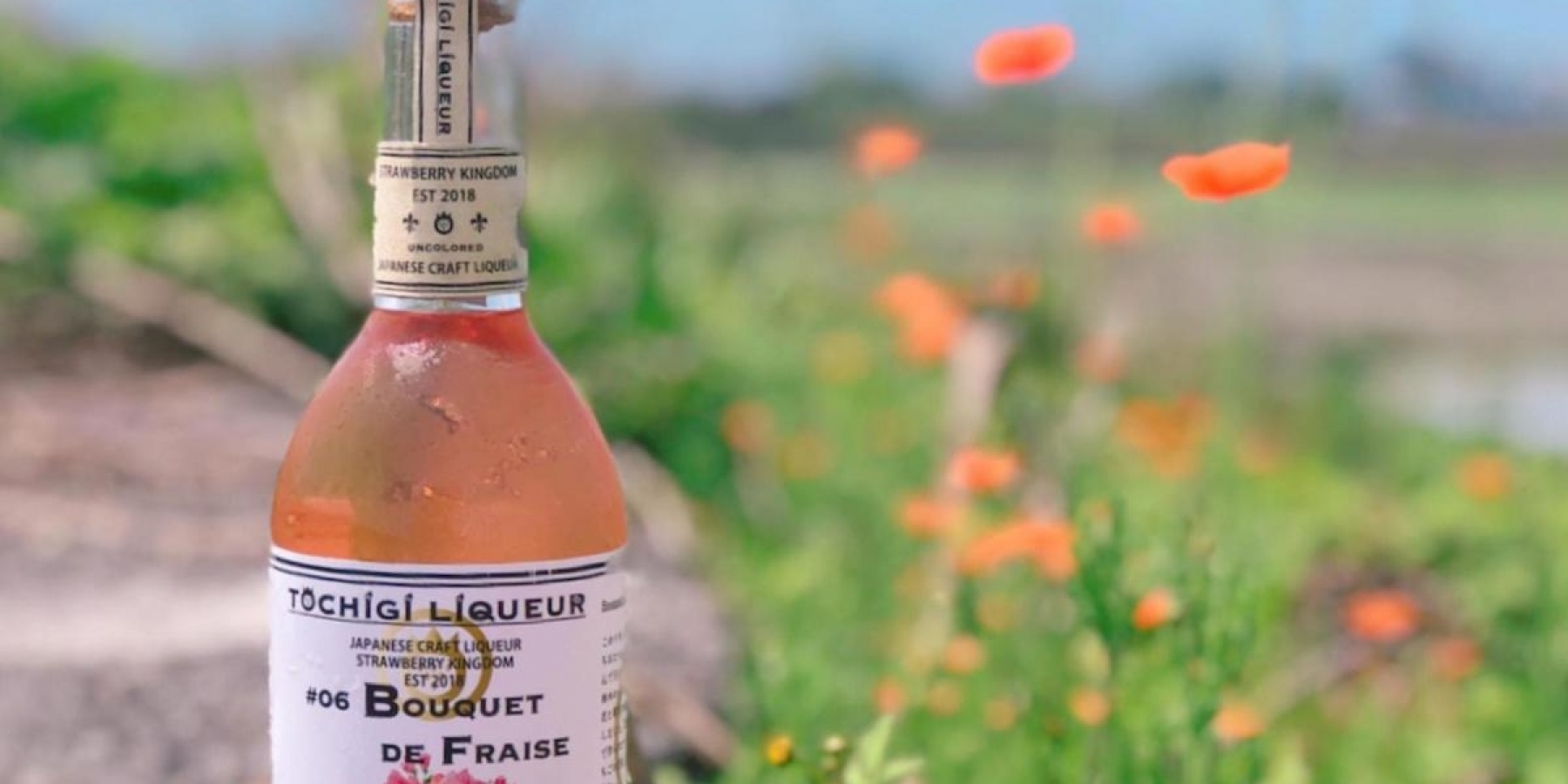 栃木発、無着色料の
クラフトリキュール誕生！
＜後編＞