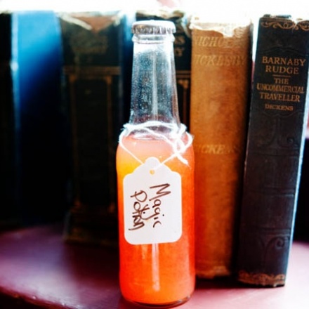 ゲータフィックス 