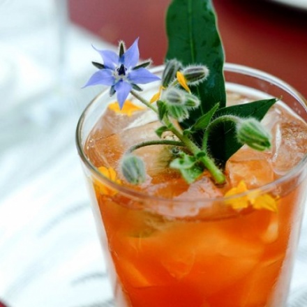 コースタル・ピムズ・カップ