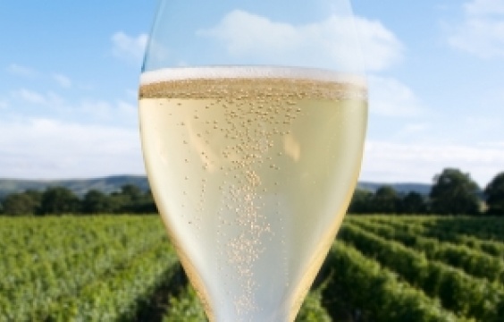 本場シャンパーニュをしのぐ！？
英国産スパークリングの実力。