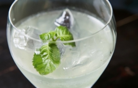 ホーリー バジル スマッシュ