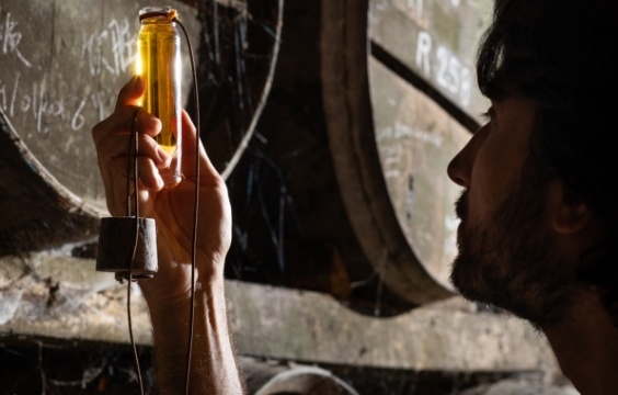 コニャックも新世代が躍進中！
注目のインディペンデント系コニャック3銘柄。
