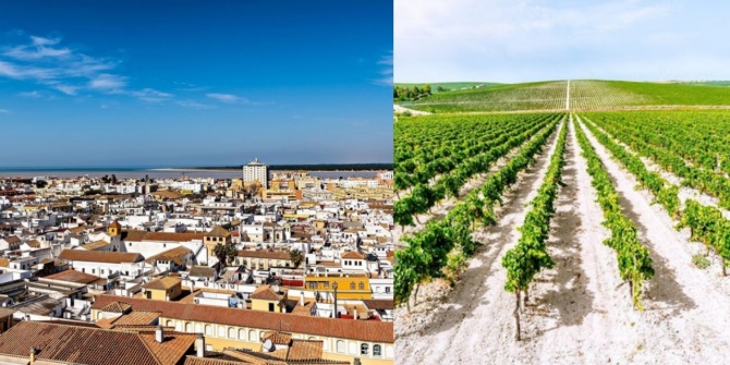 （左）シェリーの産地 マンサニーリャの町（右）「アルバリサ」と呼ばれる石灰質を多く含む土壌に広がるぶどう畑