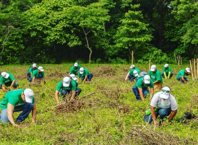 フロール・デ・カーニャでは、2005年以降、総計75万本もの植樹活動を行っています。