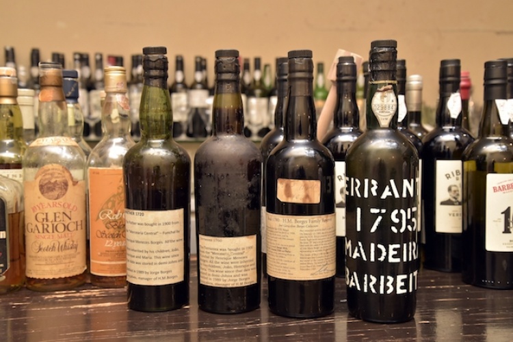 Leandro】ブームよりも「続ける」ことを！ マデイラの始祖の